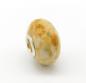 Preview: Fossile coral - EdelELB